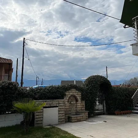 Daire ηδυλη *